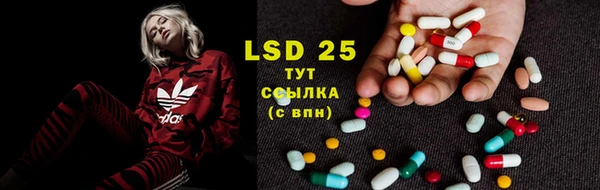 прущие крисы Елизово
