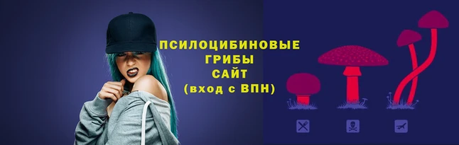 прущие крисы Елизово